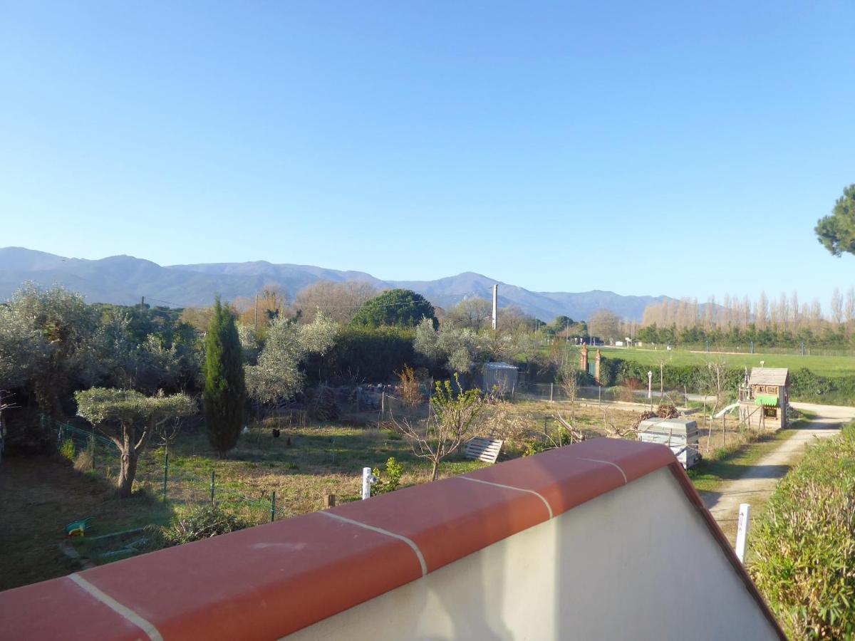 Hotel Mas Picton Argelès-sur-Mer Zewnętrze zdjęcie