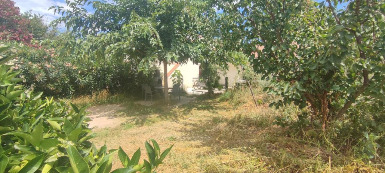 Hotel Mas Picton Argelès-sur-Mer Zewnętrze zdjęcie